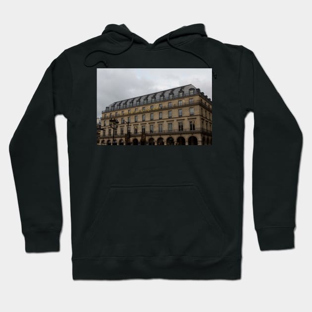 Le Louvre Des Antiquaires © Hoodie by PrinceJohn